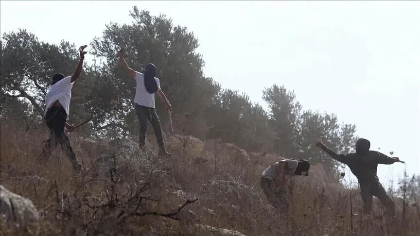 إصابة 3 فلسطينيين باختناق إثر هجوم لمستوطنين إسرائيليين جنوبي الضفة