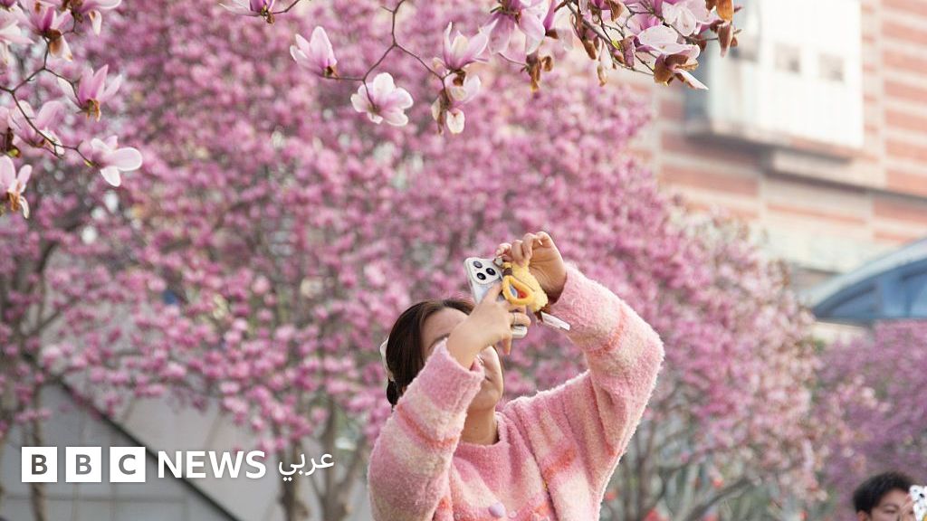 من المُحليات إلى الذكاء الاصطناعي والطبيعة، ماذا تكشف الدراسات عن صحتنا ونمط حياتنا؟ – جولة الصحف